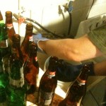 sanitized bottles ready for fresh, delicious beer